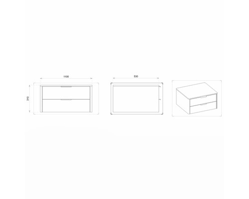 Zeichnung eines Waschtischunterschranks mit den Maßen 1100 x 530 x 310 mm