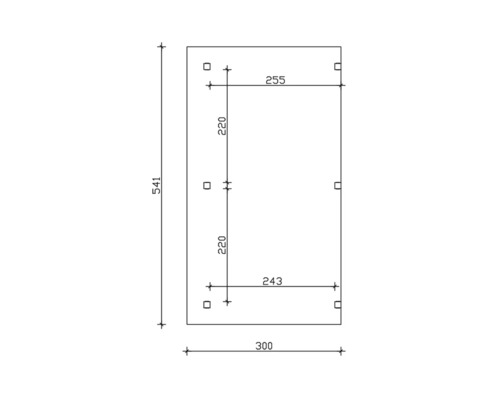 Technische Zeichnung mit Maßangaben: Höhe 541, Breite 300, Abstand der Bohrungen 220 und 255