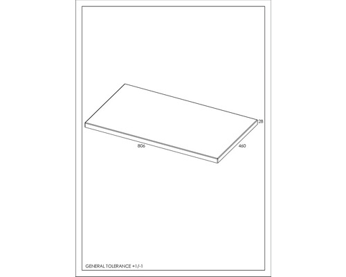 Technische Zeichnung einer Platte mit den Maßen 806 x 460 x 28 mm
