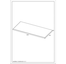 Waschtischplatte Jungborn 100,8x46 cm weiß