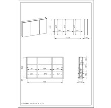 Spiegelschrank Jungborn 3-türig 100,6 x12,9x61,8 cm grau mit einseitigen Spiegeltüren und Seitenverspiegelung