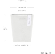 Morinda 11 Pflanztopf mit Größenangaben