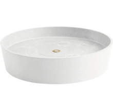 Weißes Aufsatzwaschbecken mit rundem Design und goldfarbenem Abfluss